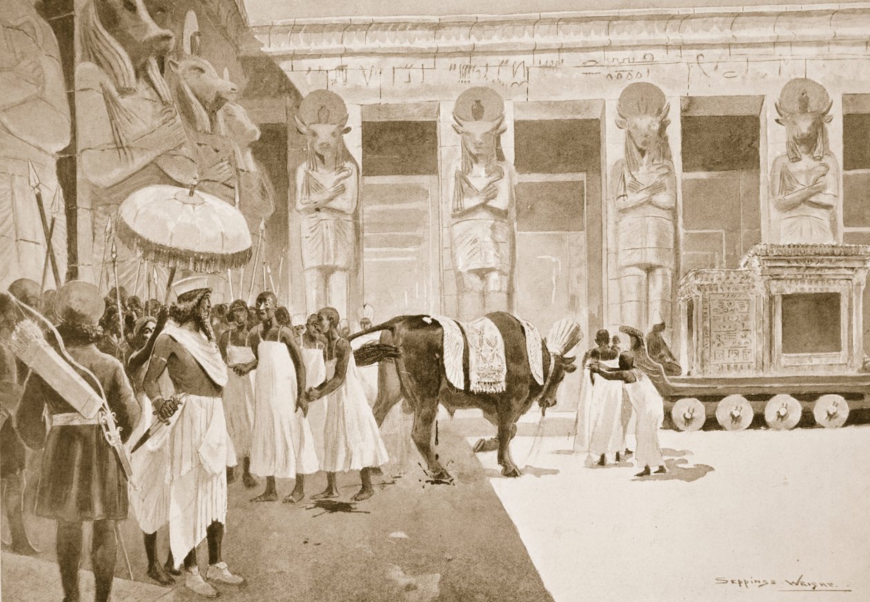 Cambyses mata a bula sagrada, ilustração de "Hutchinsons História das Nações", c.1910 de Henry Charles Seppings Wright