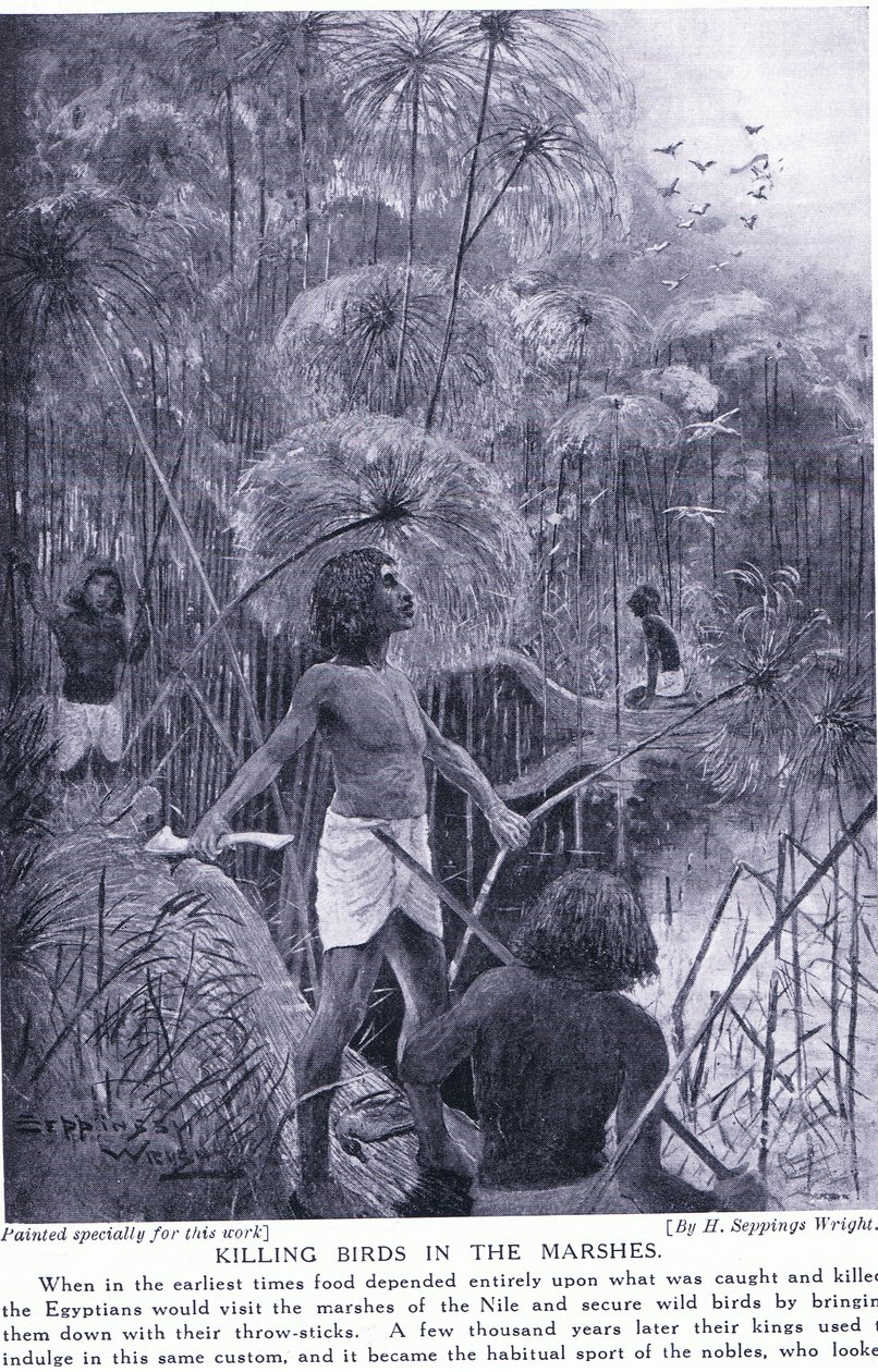 Matando pássaros nos pântanos, c.1920 de Henry Charles Seppings Wright