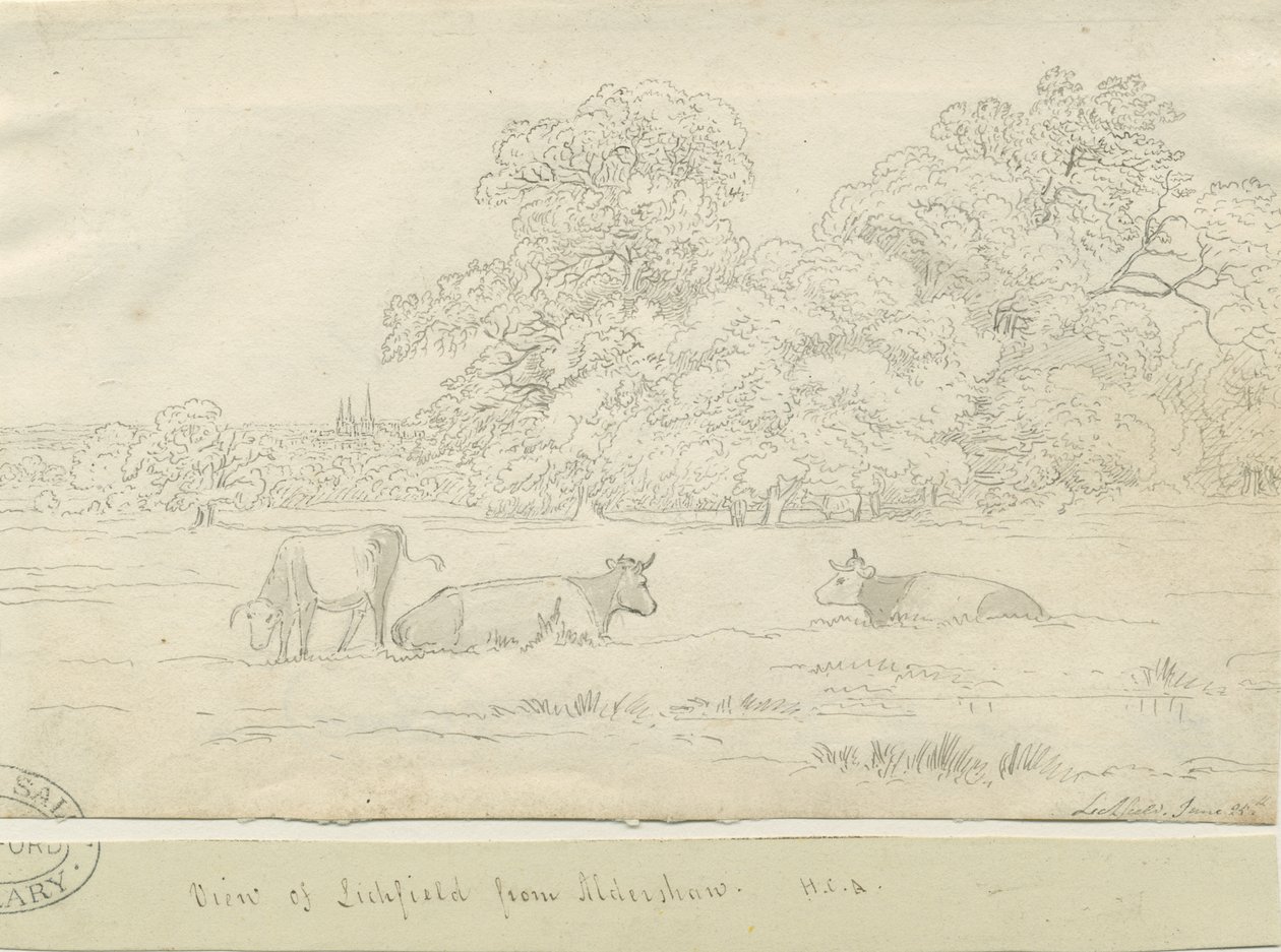 Lichfield - Vista de Aldershaw de Henry Curzon Allport