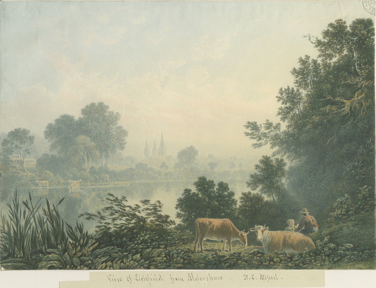 Catedral de Lichfield - Vista de Aldershaw de Henry Curzon Allport