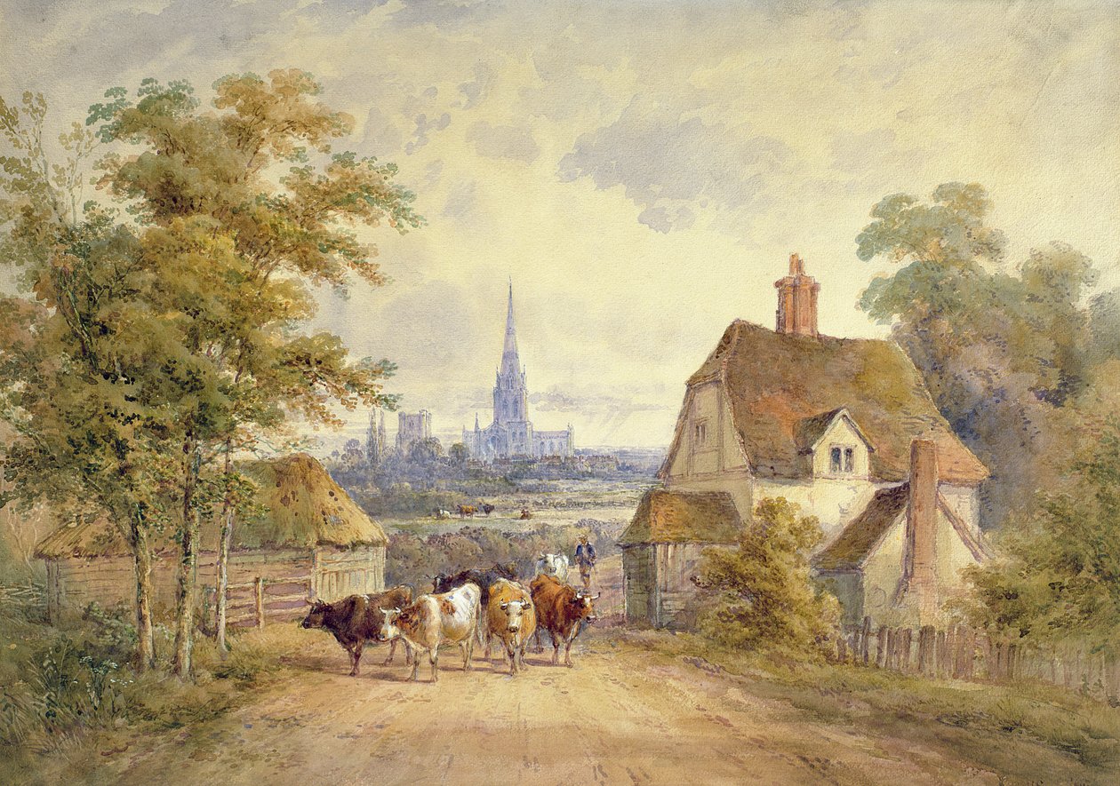 Catedral de Chichester, Sussex de Henry Earp