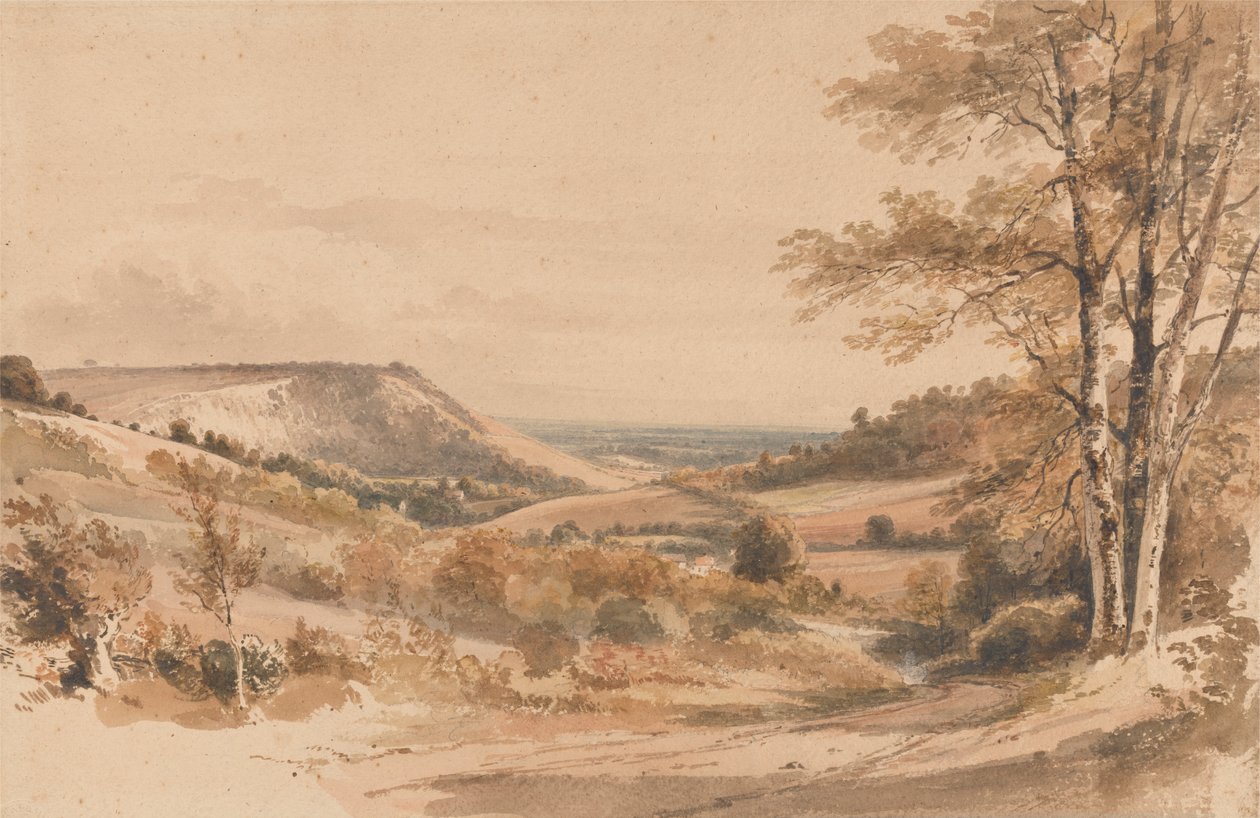 Boxhill de Westhumble Lane de Henry Edridge