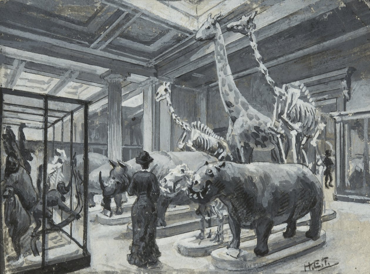Vista interna do Museu Britânico mostrando a galeria com exposições de animais, c.1880 de Henry Edward Tidmarsh