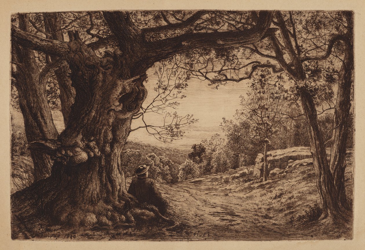 Na encosta de Henry Farrer