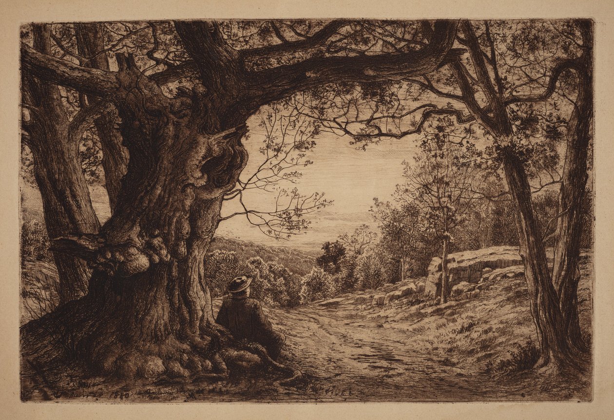 Na encosta de Henry Farrer