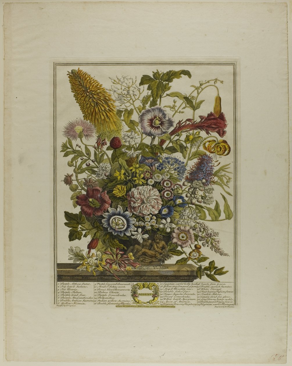Agosto, de Doze Meses de Flores de Henry Fletcher