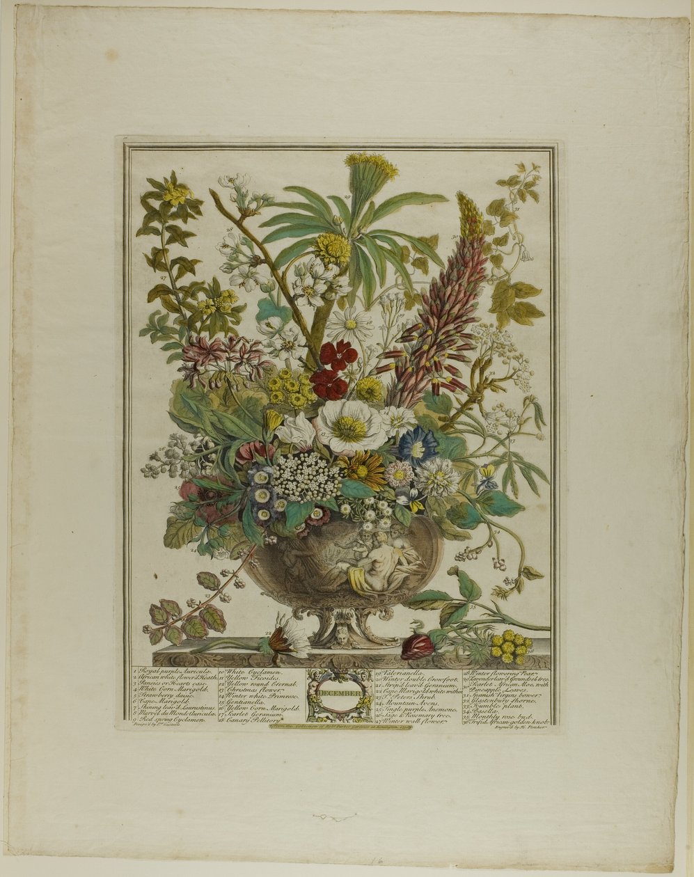 Dezembro, de Doze Meses de Flores de Henry Fletcher