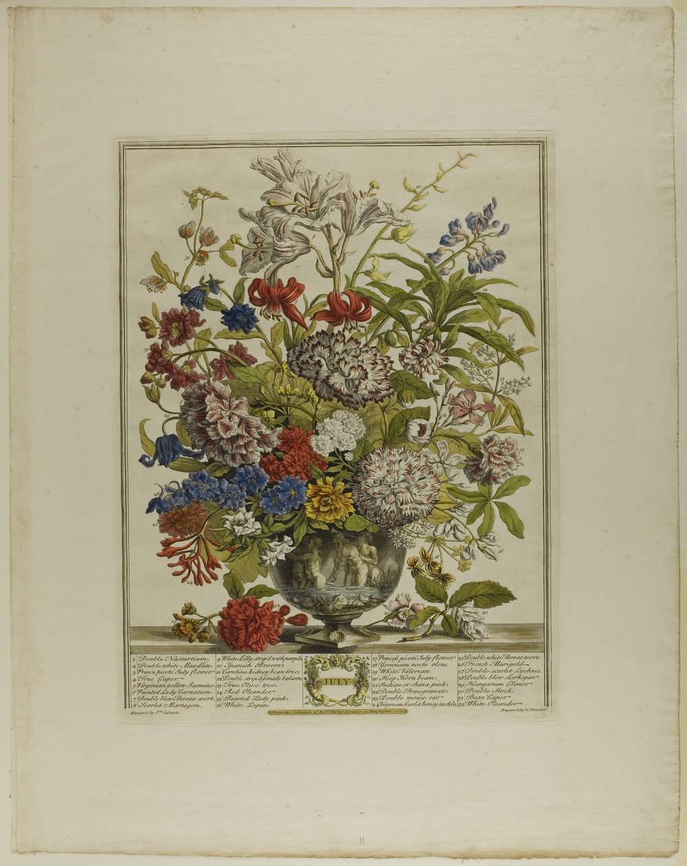 Julho, de Doze Meses de Flores de Henry Fletcher