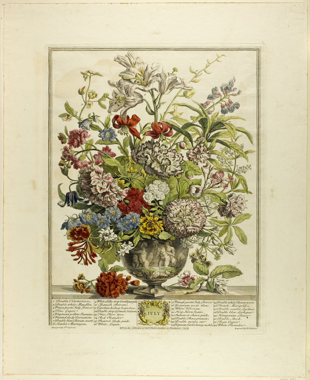 julho, de Doze meses de flores de Henry Fletcher