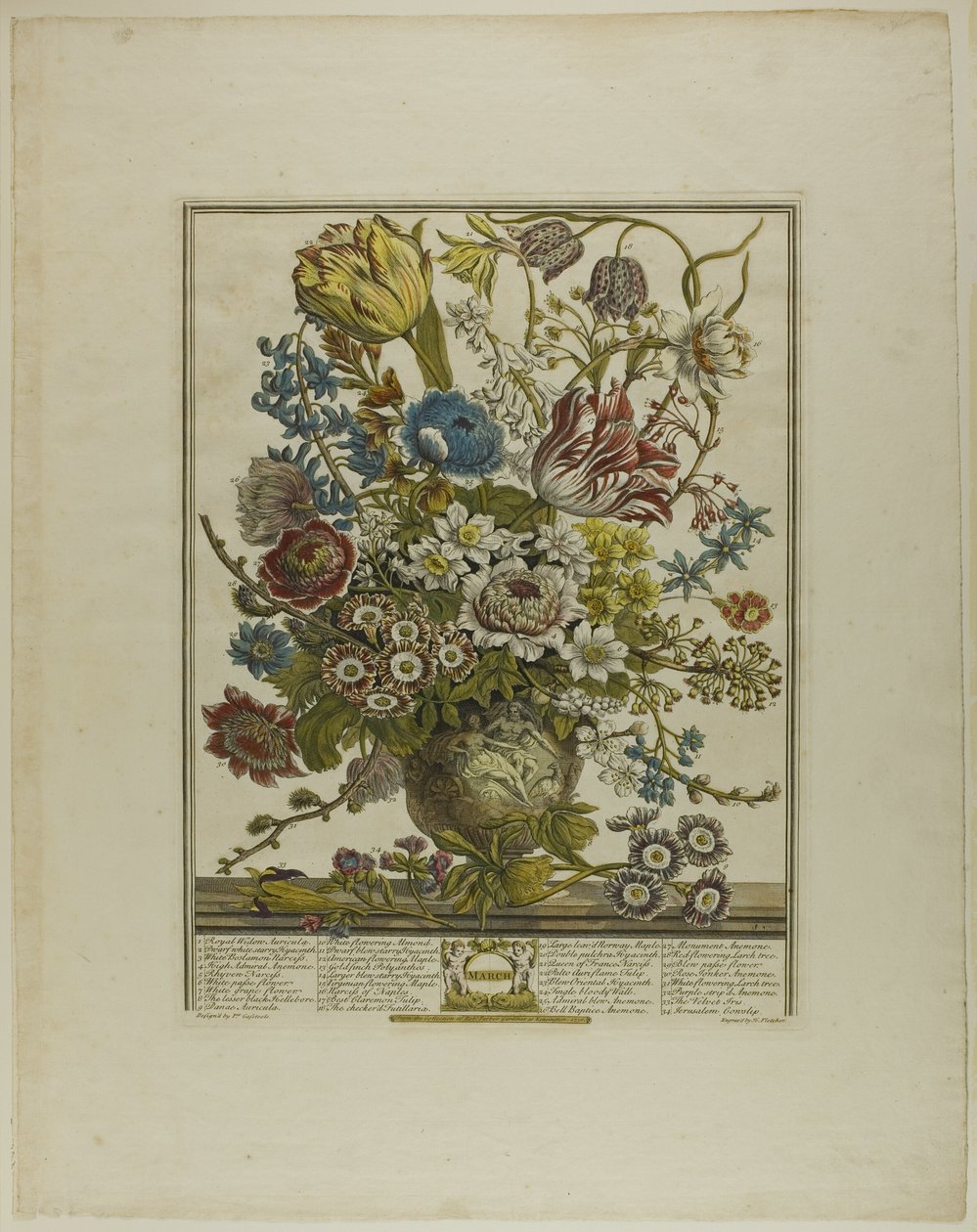 Março, de Doze Meses de Flores de Henry Fletcher