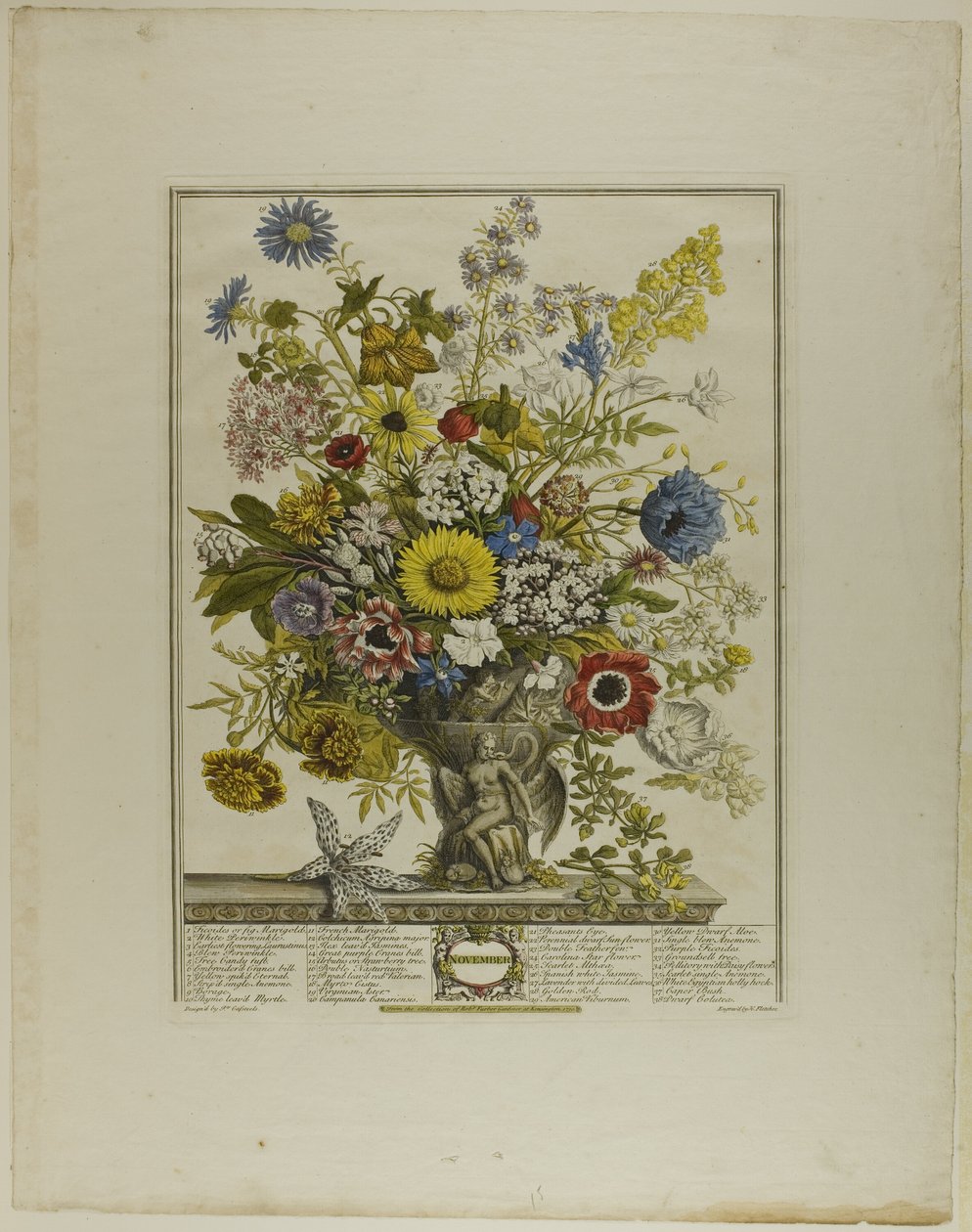 Novembro, de Doze Meses de Flores de Henry Fletcher
