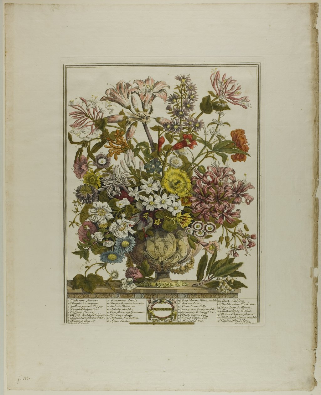 Outubro, de Doze Meses de Flores de Henry Fletcher