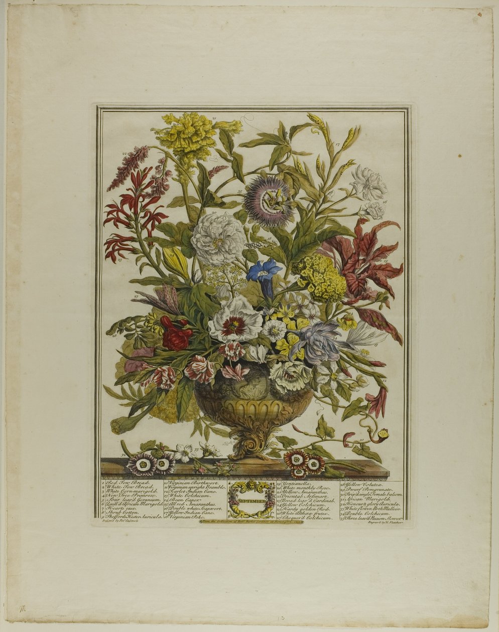 Setembro, de Doze Meses de Flores de Henry Fletcher