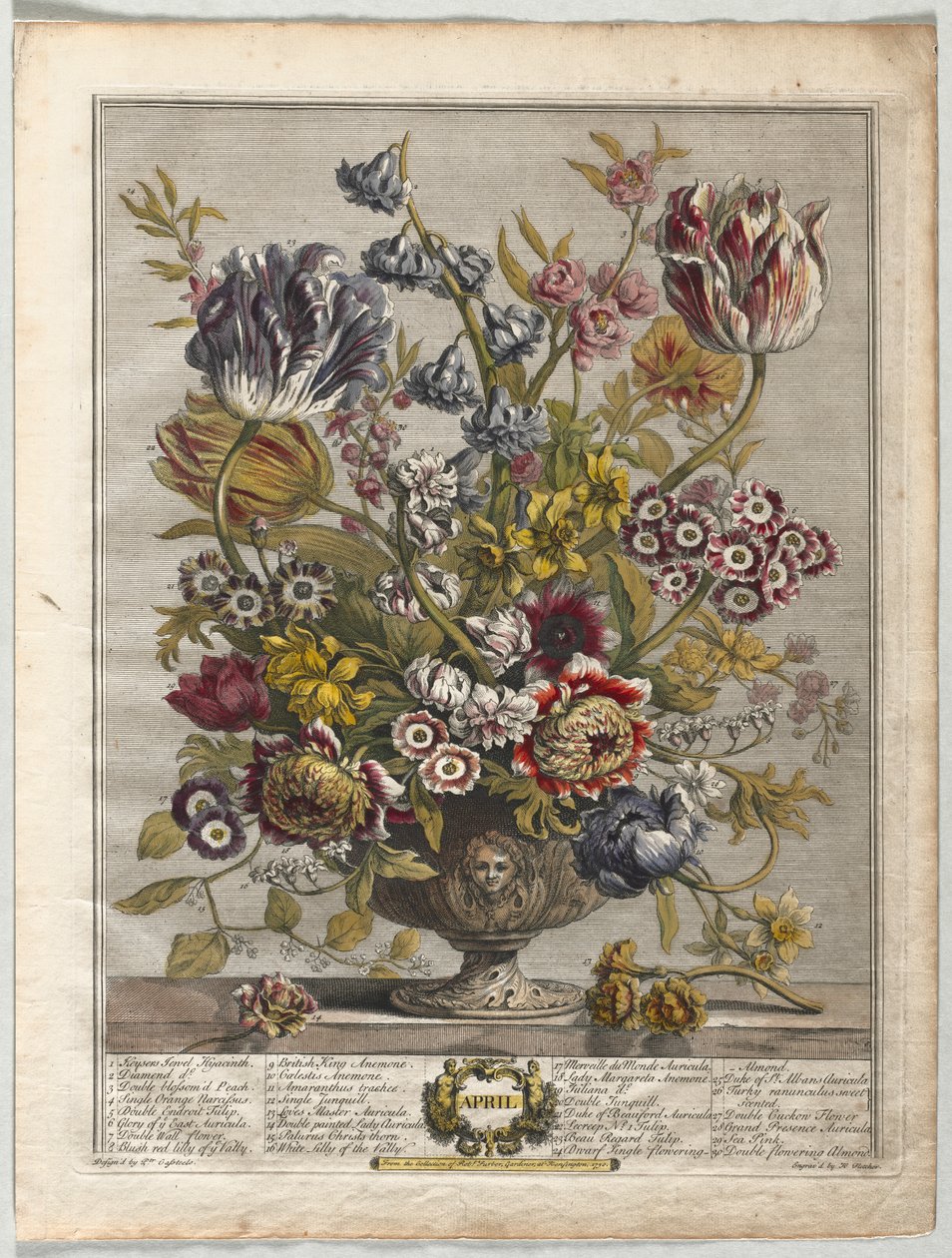 Doze meses de flores: abril de Henry Fletcher