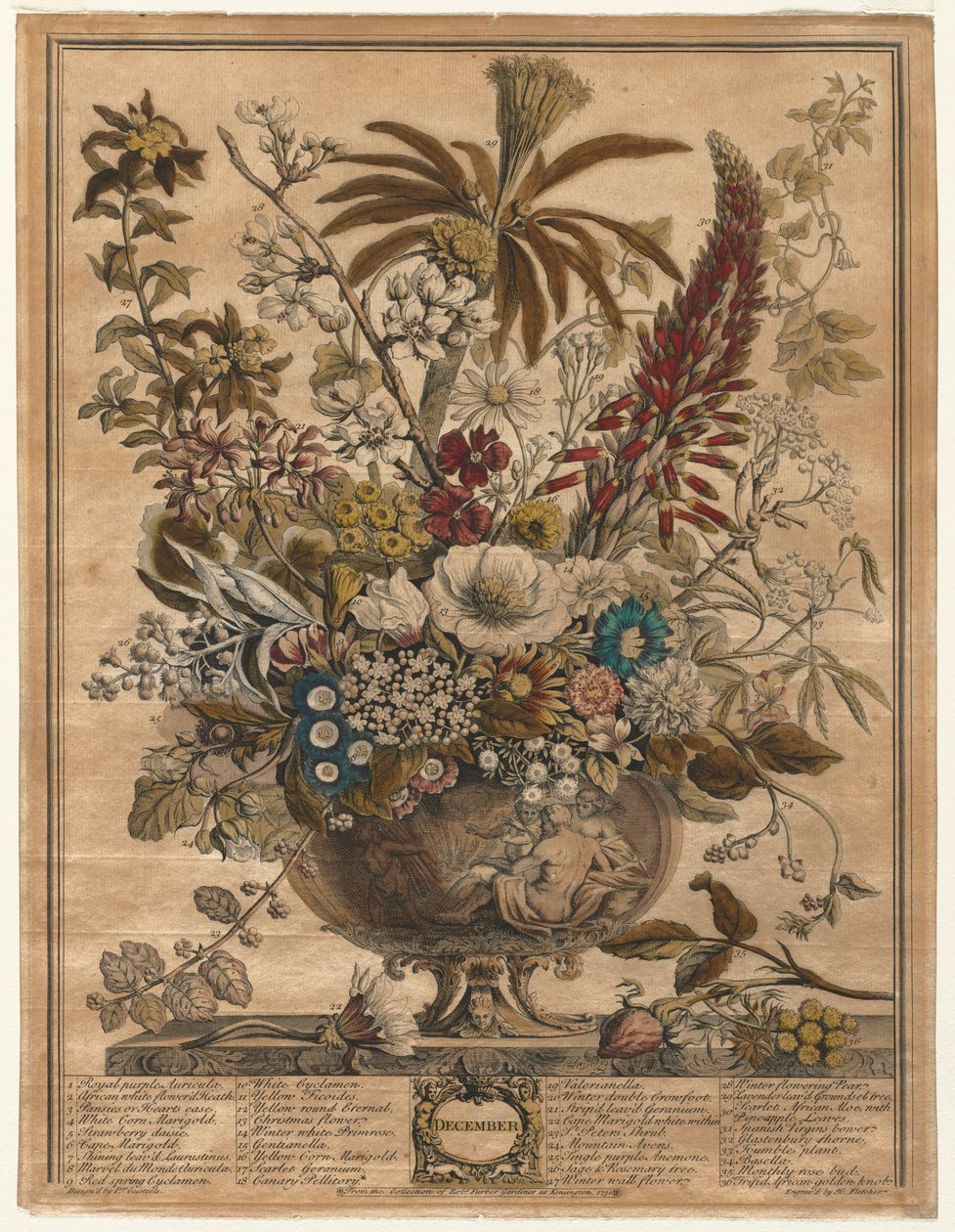 Doze meses de flores: dezembro de Henry Fletcher