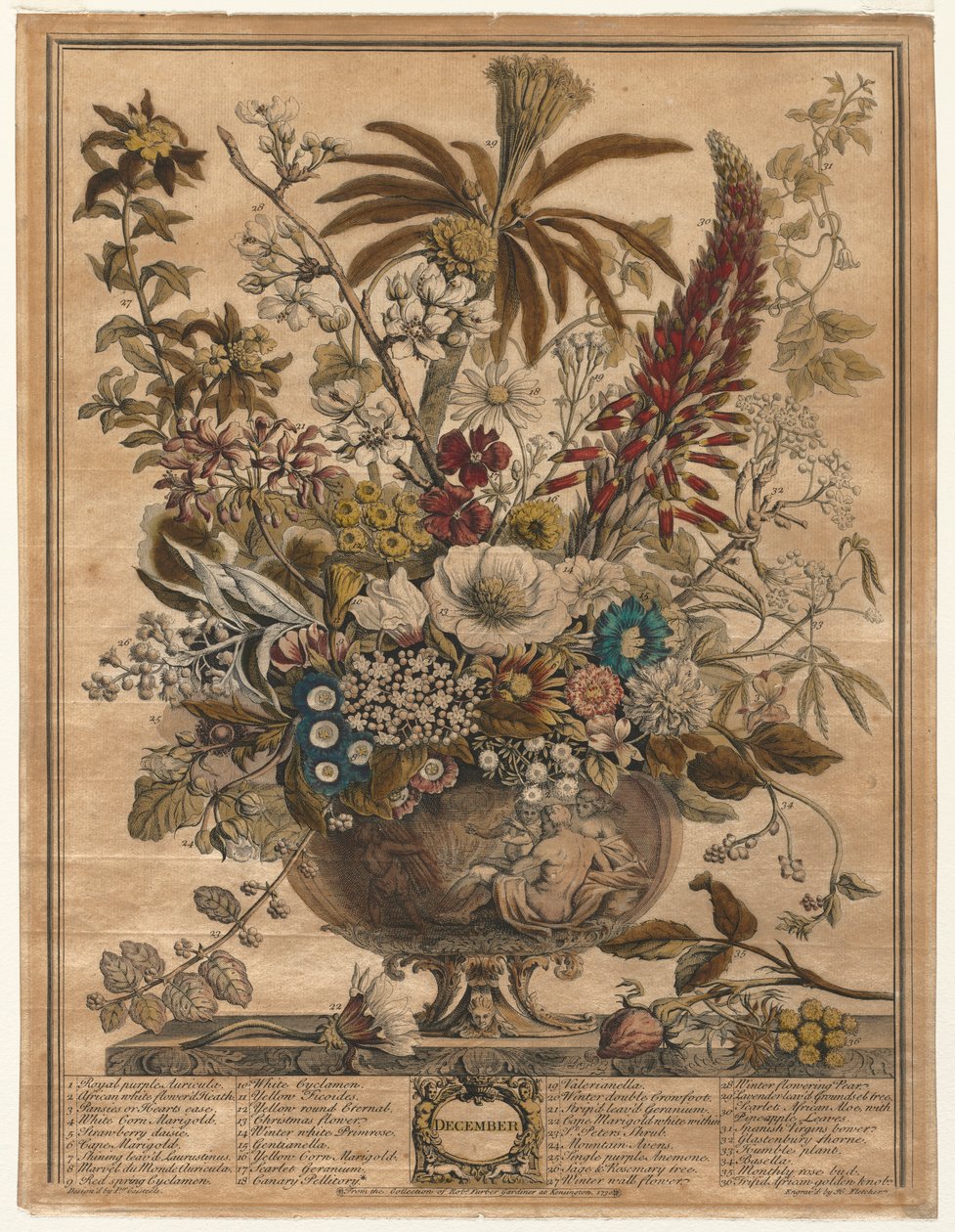 Doze meses de flores: dezembro de 1730. de Henry Fletcher