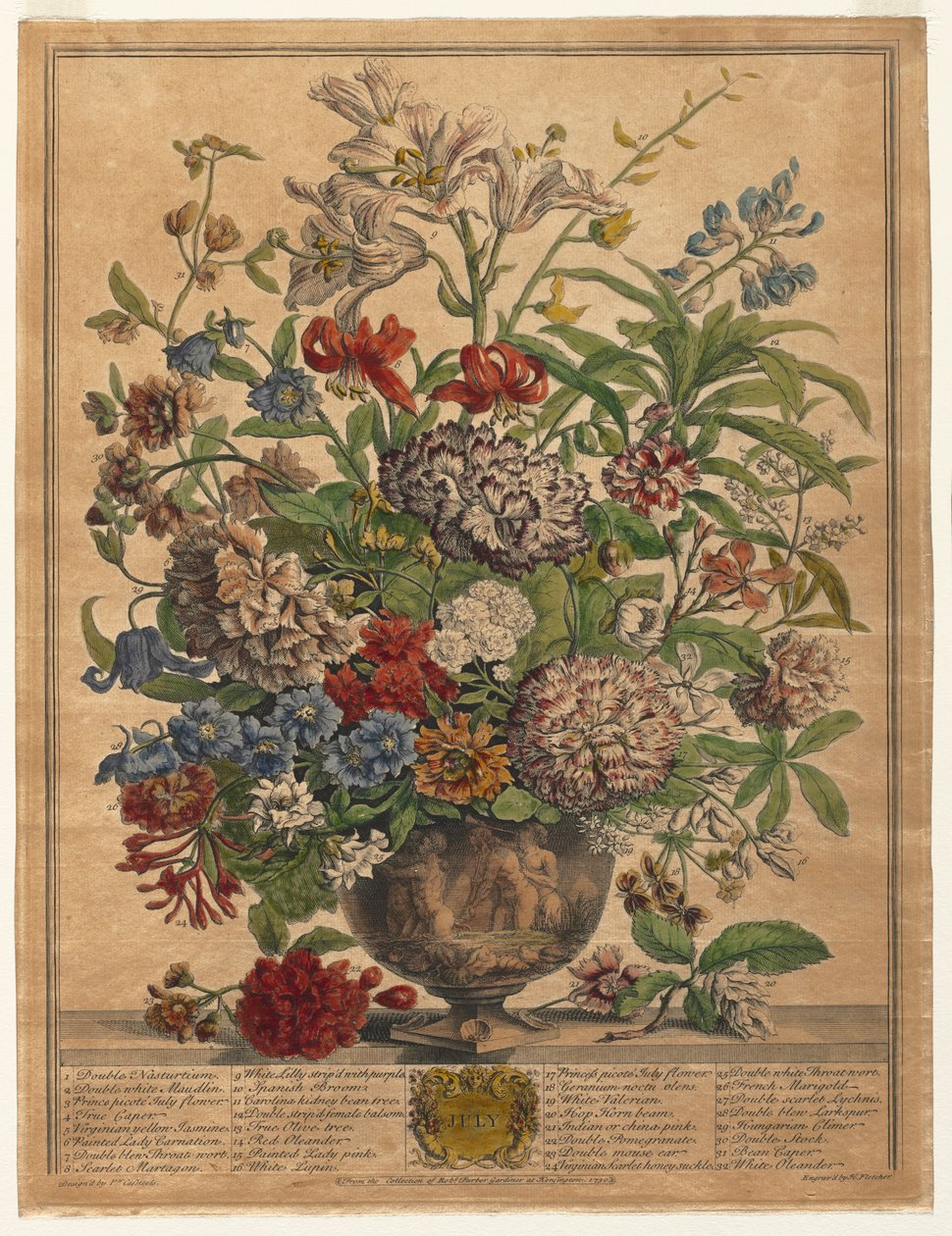 Doze meses de flores: julho de 1730. de Henry Fletcher
