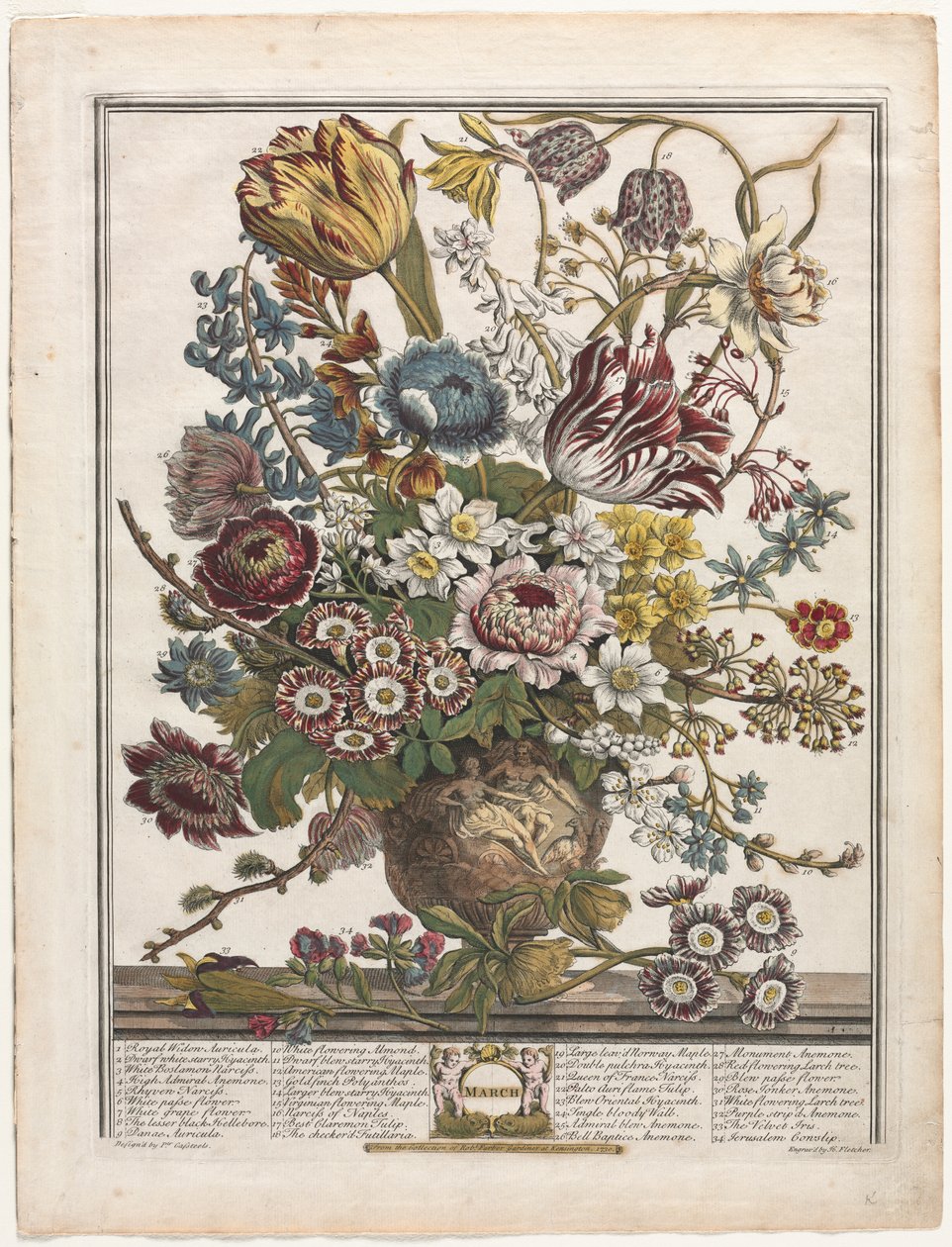 Doze meses de flores: março de Henry Fletcher