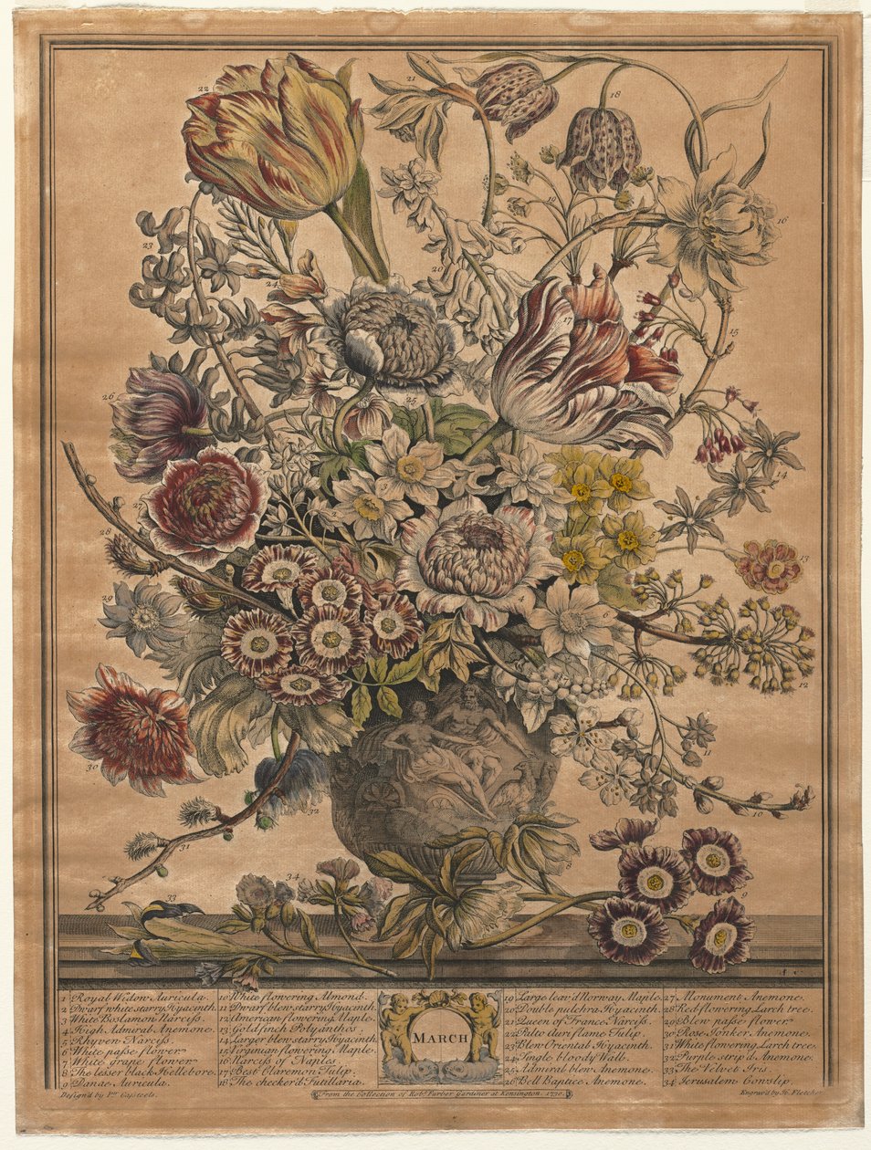 Doze meses de flores: março de 1730. de Henry Fletcher