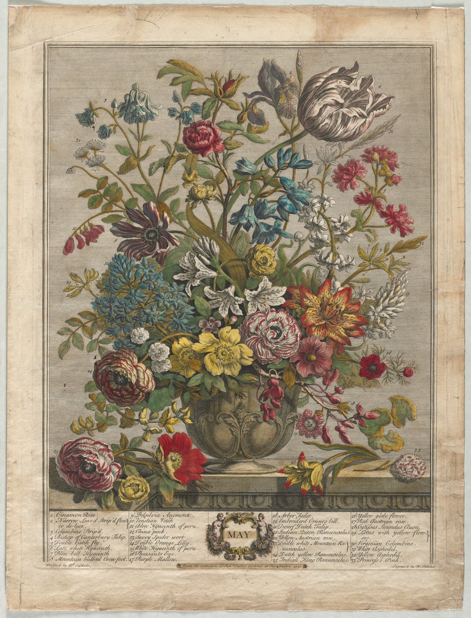 Doze Meses de Flores: Maio, 1730. de Henry Fletcher