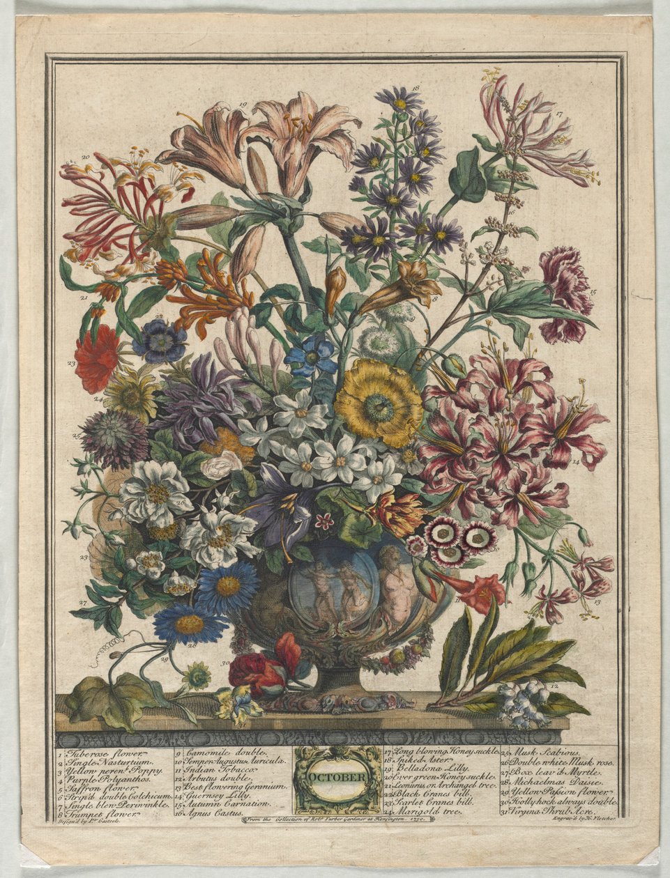 Doze meses de flores:  outubro de Henry Fletcher