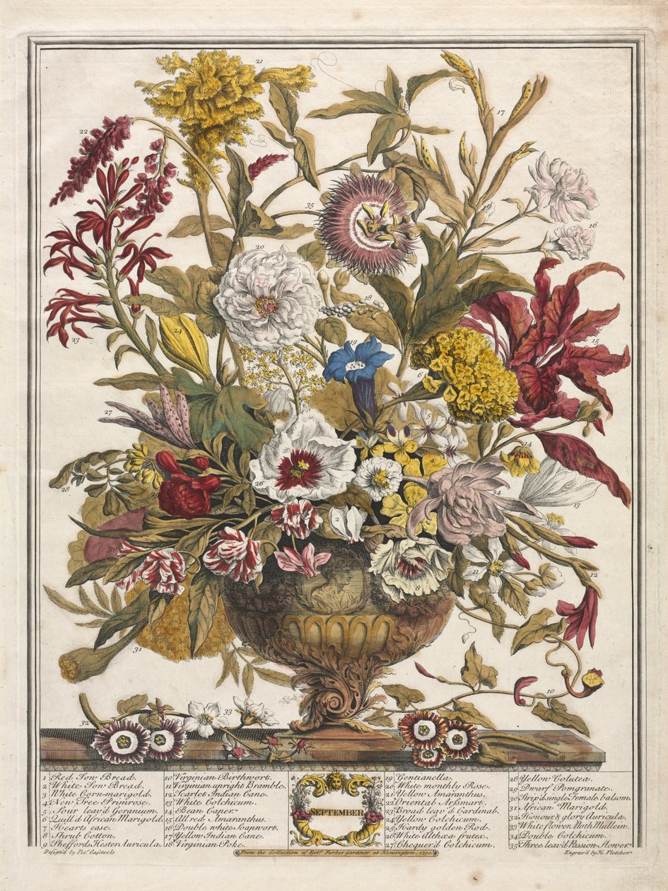 Doze meses de flores: setembro de Henry Fletcher