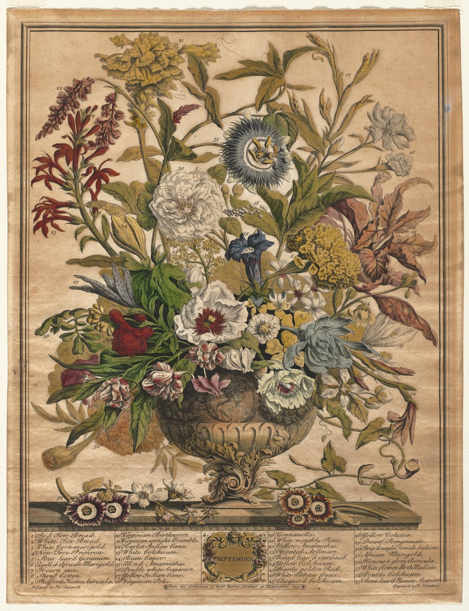 Doze Meses de Flores: Setembro, 1730. de Henry Fletcher