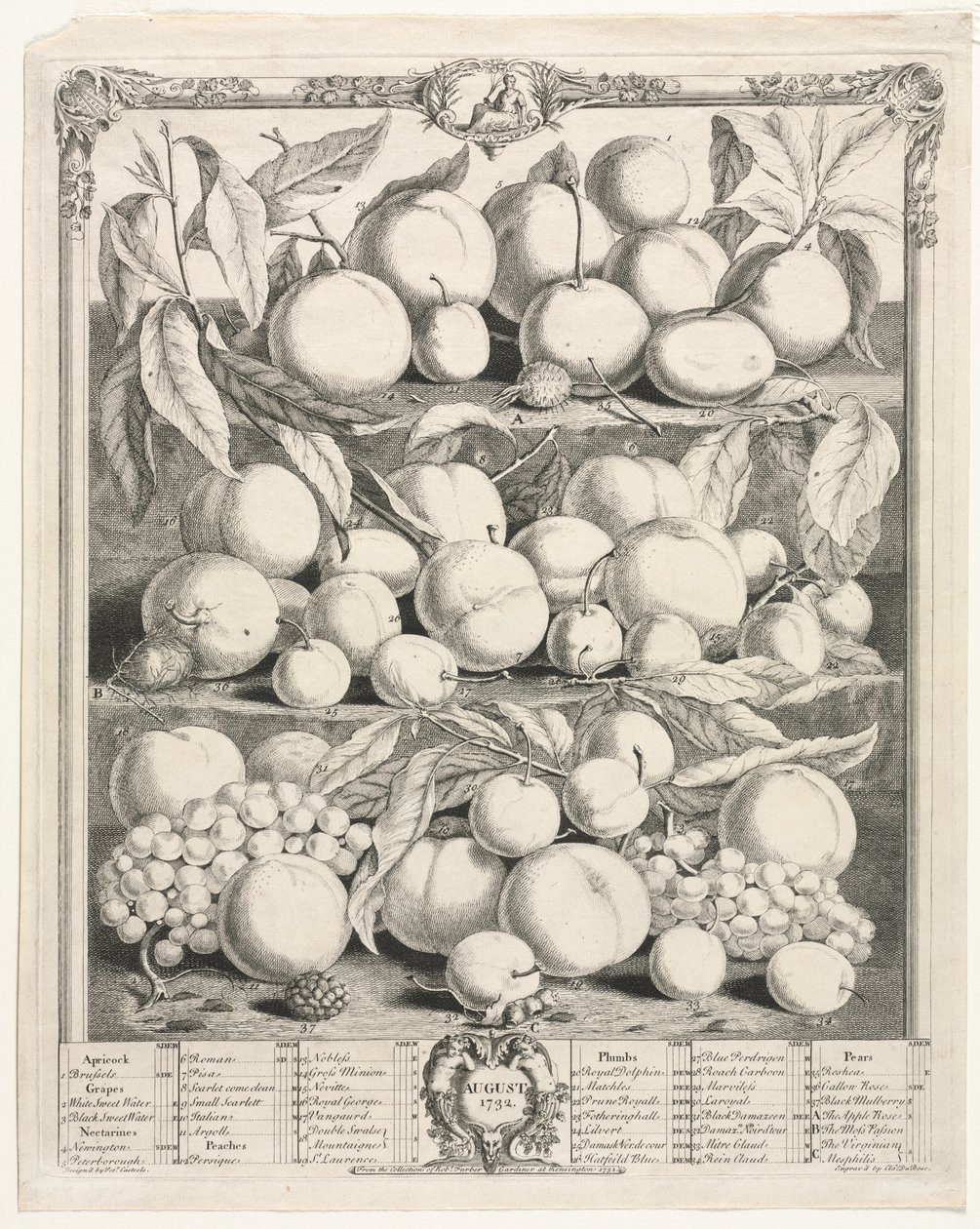 Doze meses de frutas: agosto de Henry Fletcher