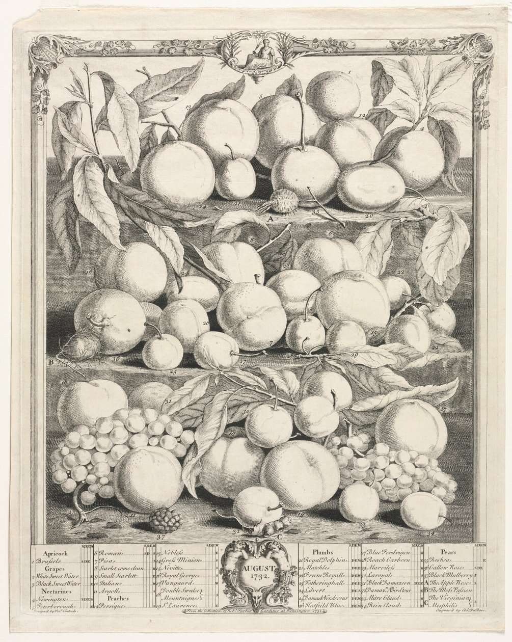 Doze meses de frutas: agosto de 1732. de Henry Fletcher
