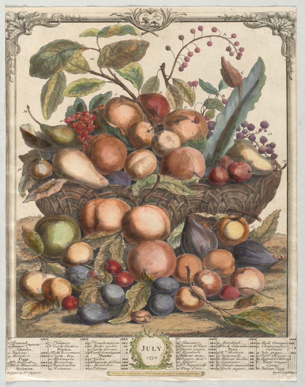 Doze meses de frutas: julho de Henry Fletcher