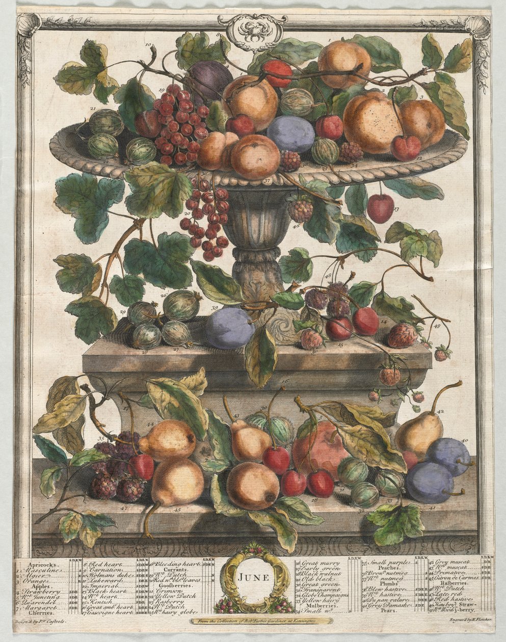 Doze Meses de Fruta: Junho, 1732. de Henry Fletcher