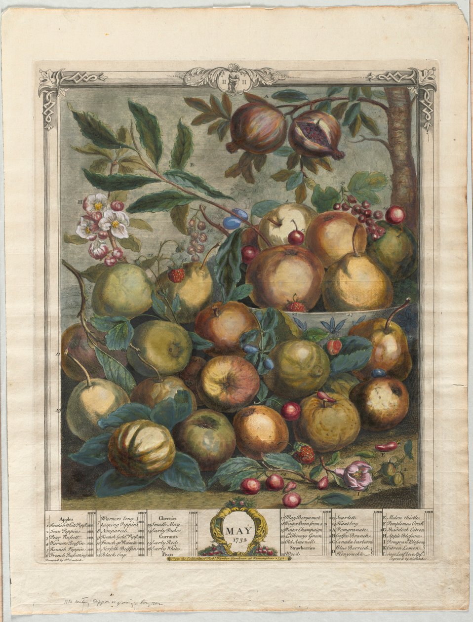 Doze meses de fruta:  maio de Henry Fletcher