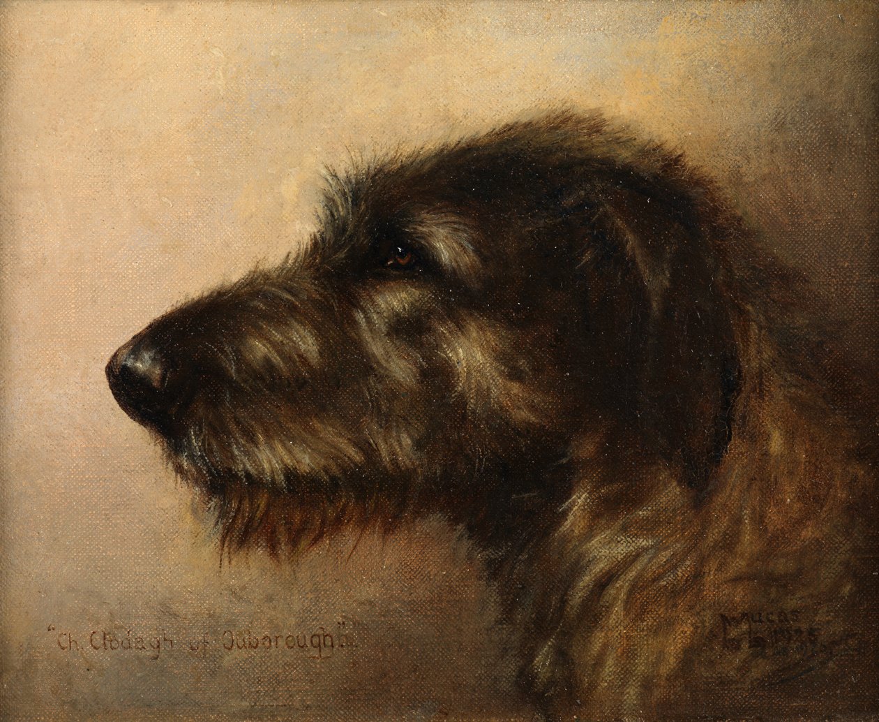 Campeão Clodagh de Ouborough, um Wolfhound Irlandês de Henry Frederick Lucas Lucas