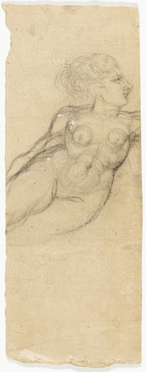 Estudos de nus de Henry Fuseli