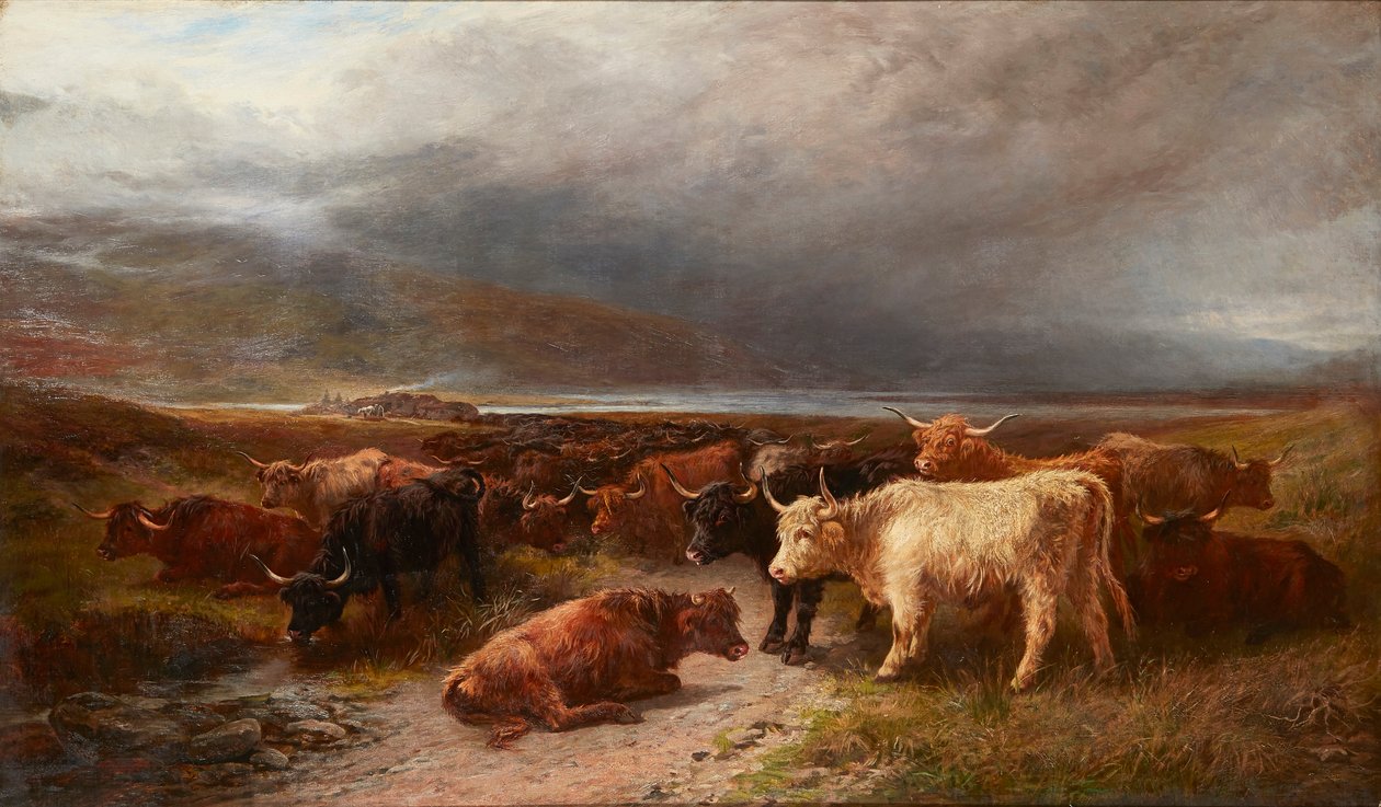 Gado das Terras Altas em um Vale da Montanha (óleo sobre tela) de Henry Garland