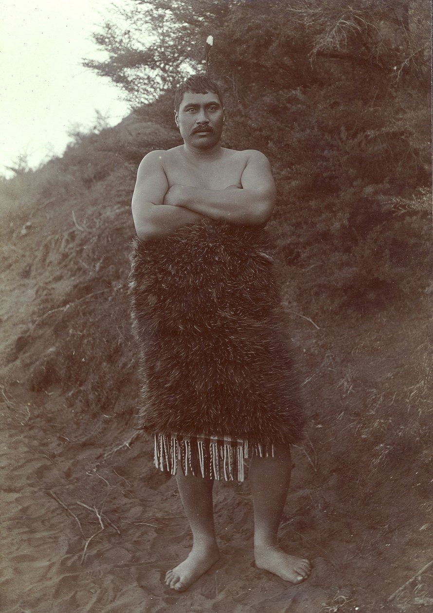 Estudo Maori, c.1910 (impressão de gelatina de prata) de Henry Gaze