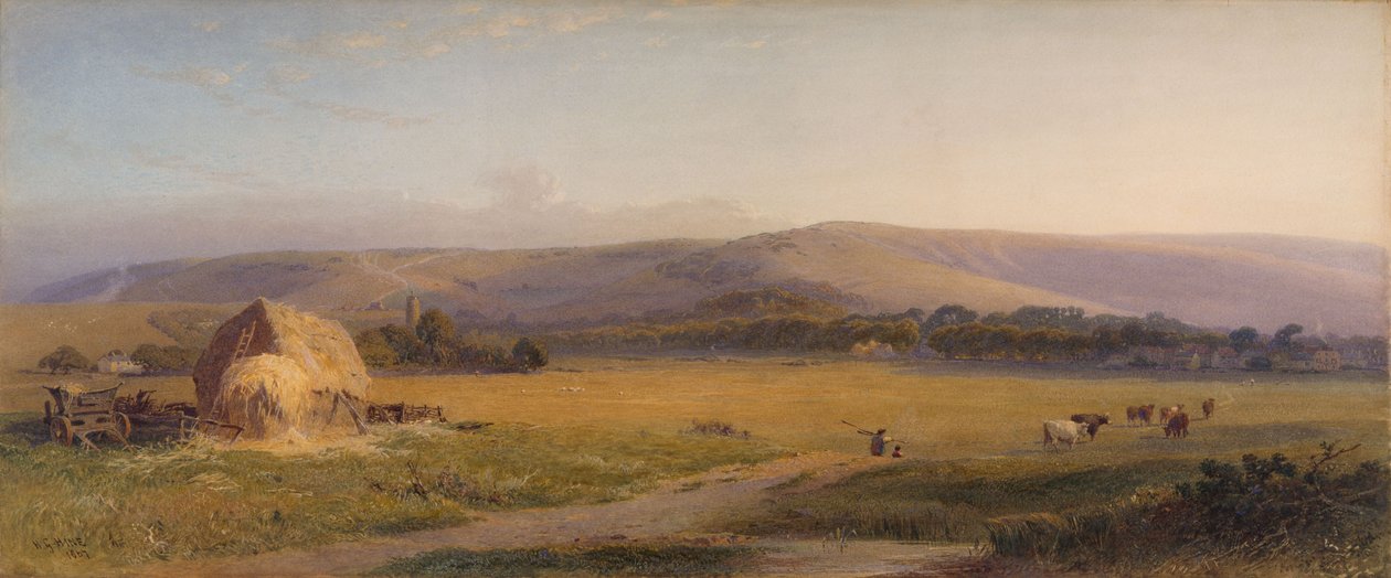 Pastagens das Colinas do Sul, 1867 de Henry George Hine