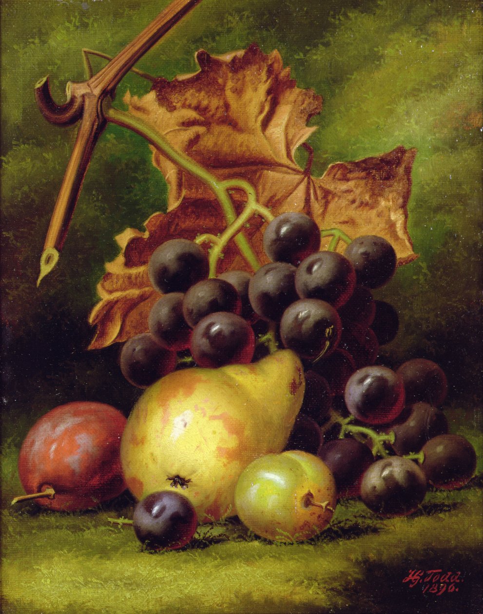 Natureza morta de Henry George Todd