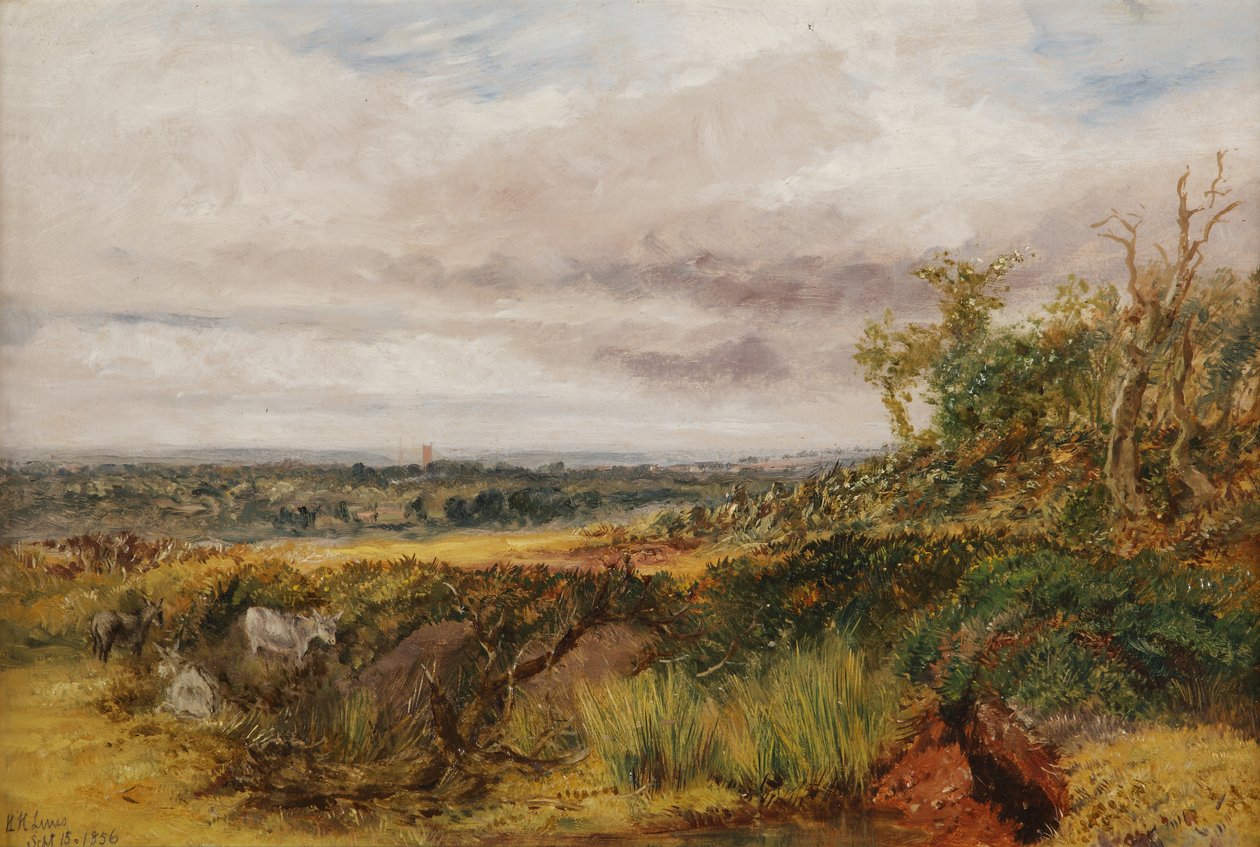 Paisagem, 1856 de Henry Harris Lines