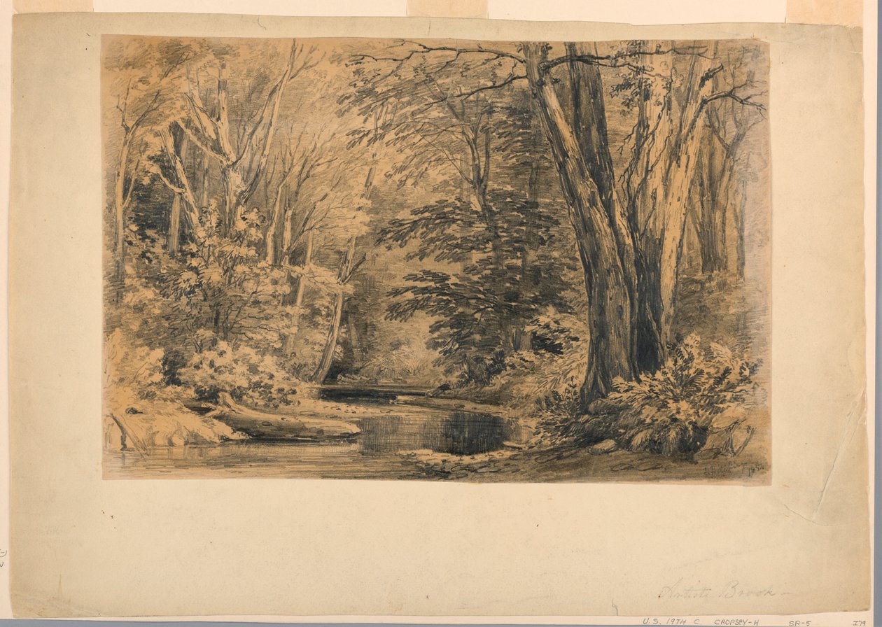 ribeiro do artista de Henry Hitchings