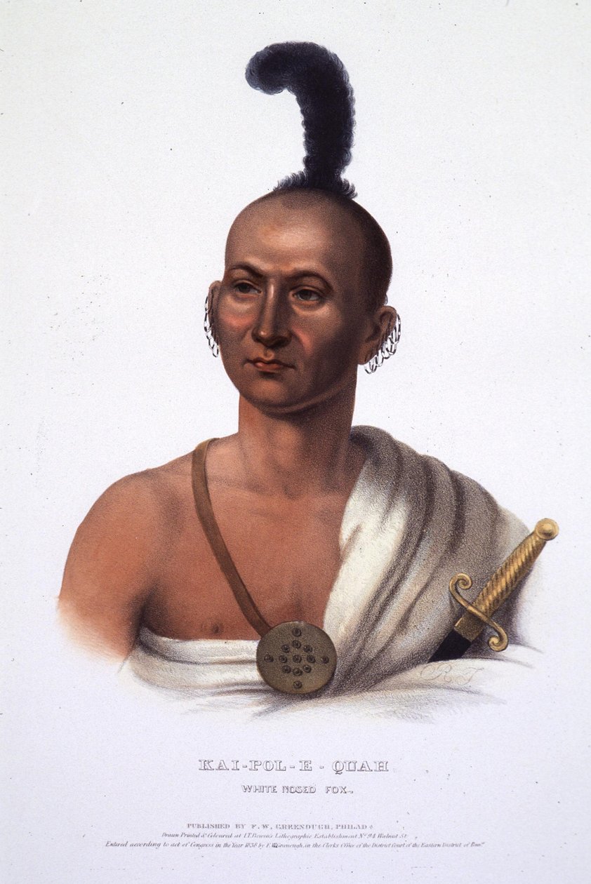 Kai-Pol-E-Quah, Raposa de nariz branco de Henry Inman