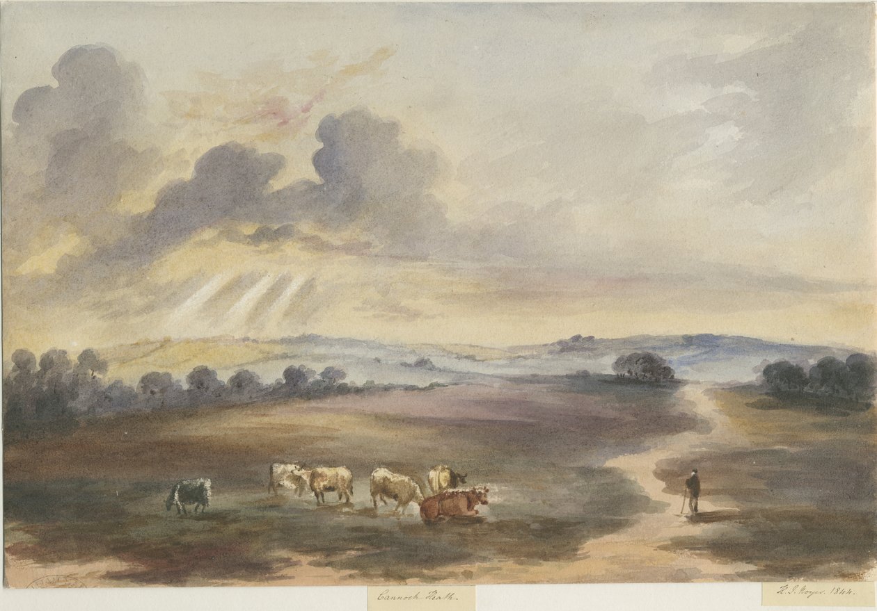 Cannock Chase - "Heath": pintura em aquarela, 1844 de Henry James Noyes