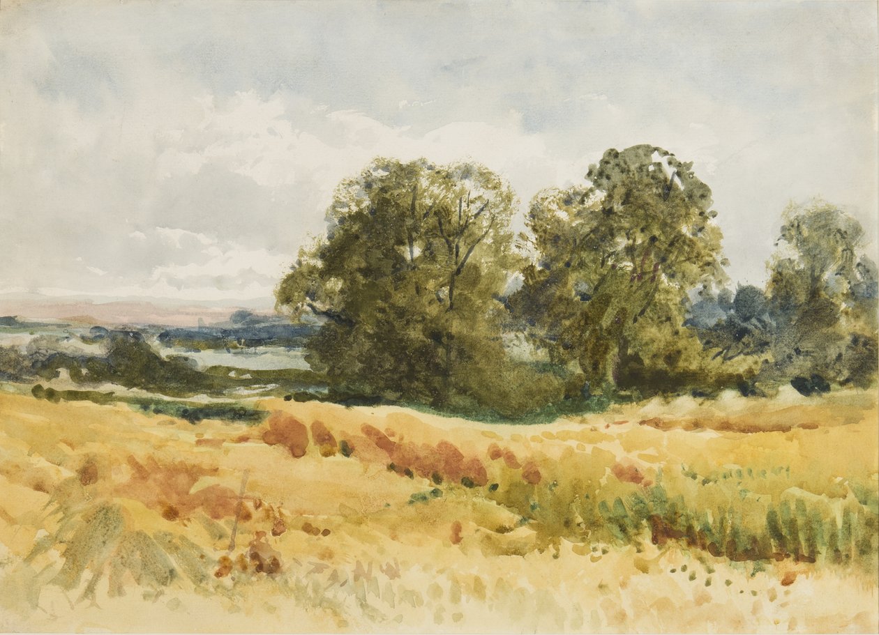 Campo de colheita, c.1910 (aguarela sobre papel) de Henry John Sylvester Stannard