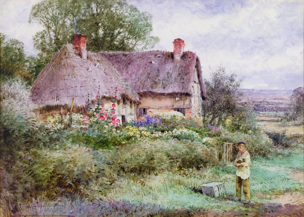 O novo animal de estimação (aquarela) de Henry John Sylvester Stannard
