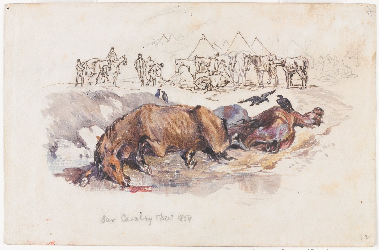 A nossa Cavalaria, Cavalos Mortos de Henry John Wilkinson