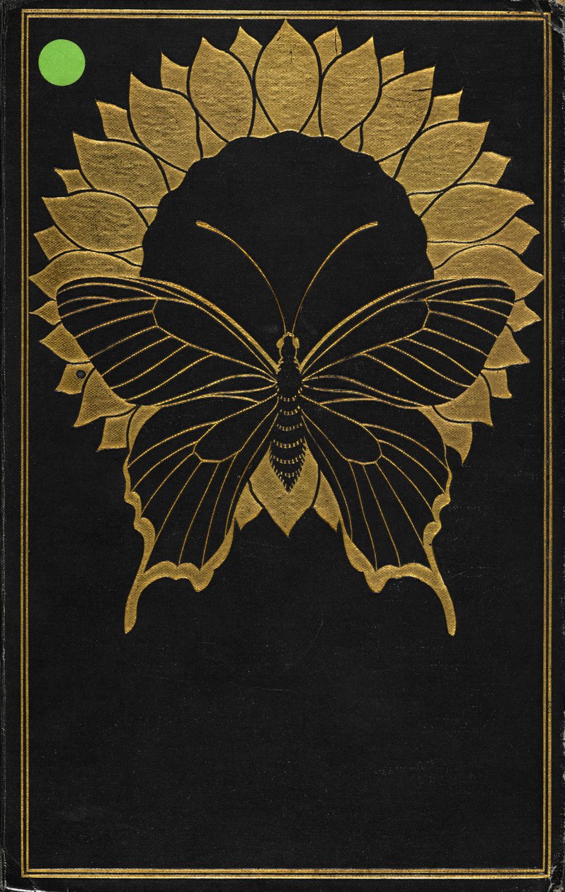 Capa de 