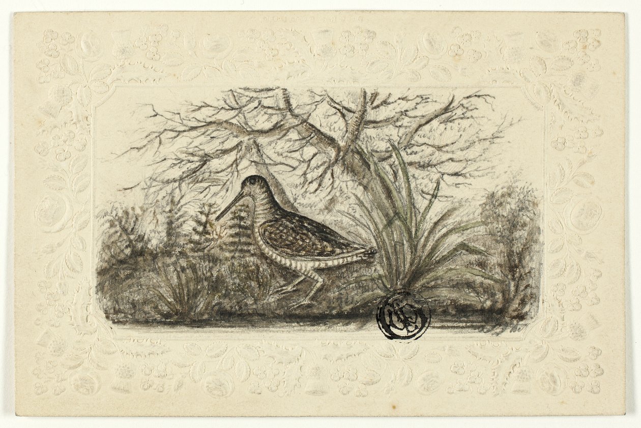 Galo silvestre de Henry Lejeune