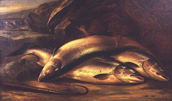 Natureza Morta de Salmão de Henry Leonidas Rolfe