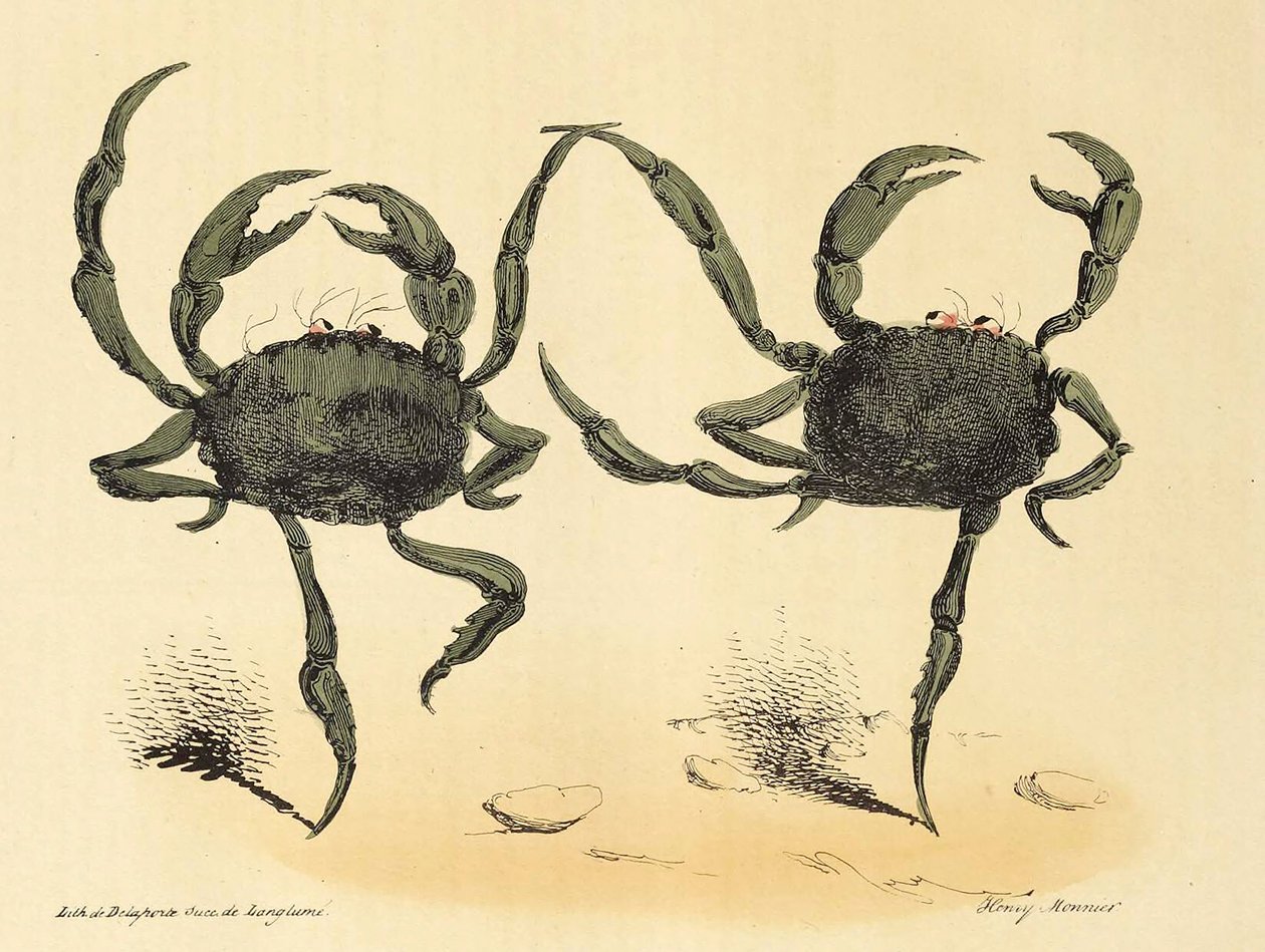 Dança Fantástica de La Caricature, pub. 1831 litografia, 1831. de Henry Monnier