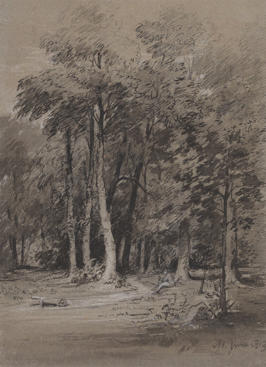 Um trilho arborizado de Henry Monro